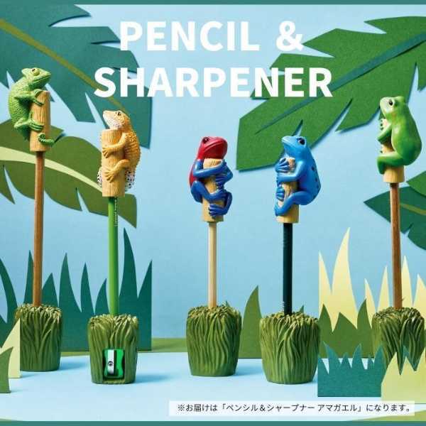 ペンシルキャップ 鉛筆削り アマガエル 文房具 ステーショナリー 雑貨 おしゃれ 可愛い リアル 癒し 動物モチーフ デスク周り オフィス 学校 勉強道具 ギフト プレゼント セトクラフト