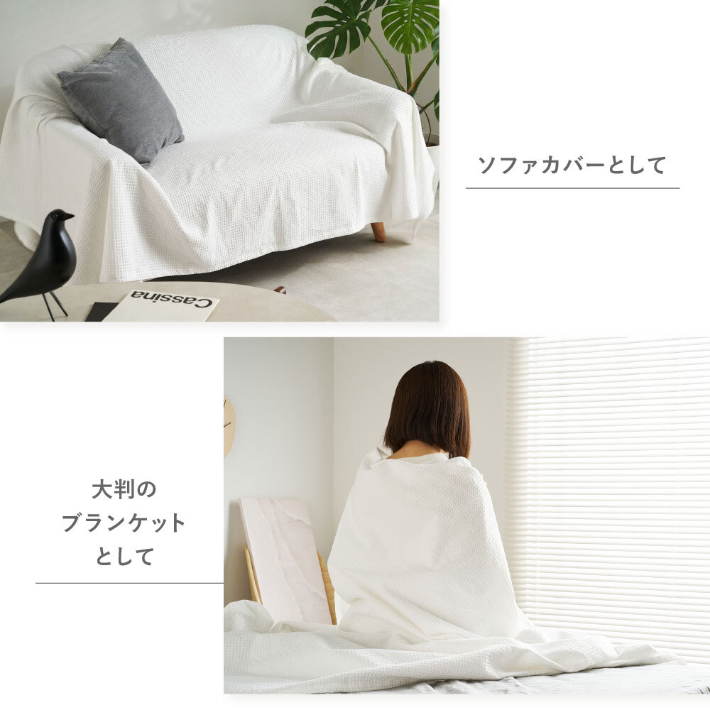 コットンケット 綿100％ スローケット 140×200cm 180×200cm シングル ダブル 洗える 洗濯機対応 オールシーズン 吸湿 通気 ブランケット 毛布 肌掛け ベッド ソファカバー