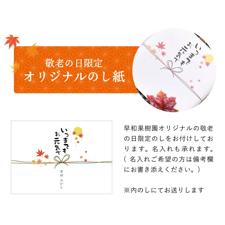 敬老の日 誕生日 みかん ジュース 無添加 ストレート 果汁 100％ 和歌山 有田 内祝 飲むみかん6本ギフト C6-B プレゼント 