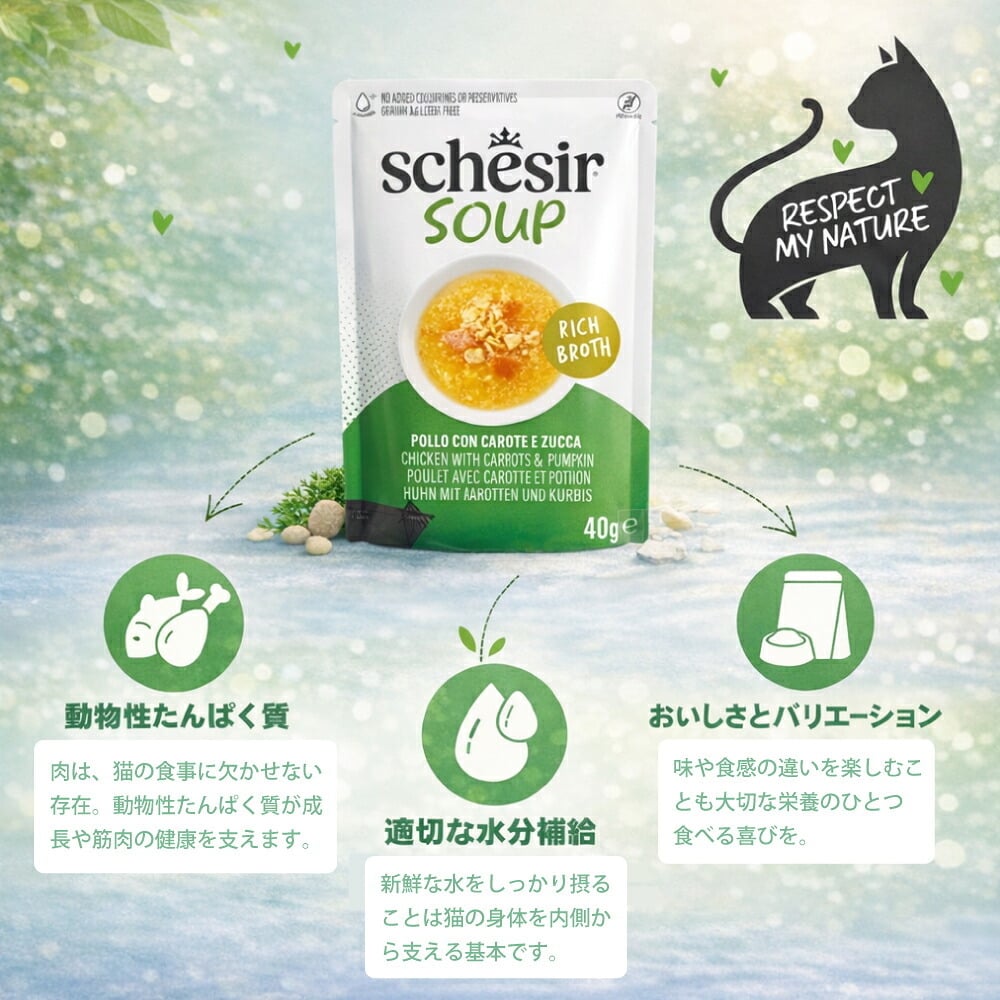 Schesir シシア スープ チキンwithキャロットandパンプキン キャットフード 40g×12個