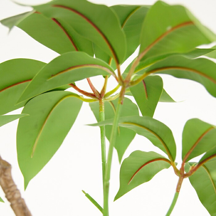 観葉植物 造花 ツピタンサス BROWN 全高約210cm 大型 3本立ち フェイクグリーン 高級 本物そっくり リアル おしゃれ インテリア 人工観葉植物 アーティフィシャルグリーン オフィス 店舗 ホテル 開店祝い 室内 リビング 玄関 風水 ツピダンサス