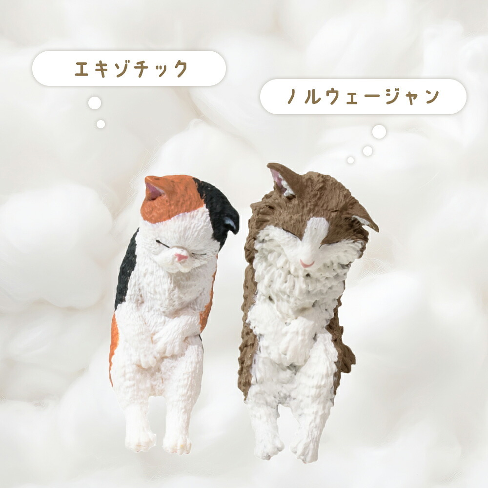 【5種類セット】 ガチャ ガチャガチャ コンプリート 中身 フィギュア おもちゃ かわいい [ いっしょにねんね にゃんこ ] 猫 ネコ ロシアンブルー マンチカン スコティッシュ エキゾチック ノルウェージャン