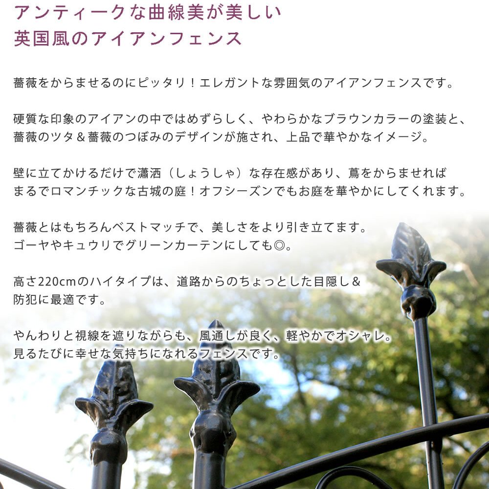 ガーデン エクステリア アイアンローズフェンス220 ハイタイプ 2枚組 フェンス アイアン ガーデニング 枠 柵 仕切り 目隠し 境目 クラシカル アンティーク トレリス ベランダ つる 薔薇 バラ 朝顔 園芸 ラティス つるバラ 庭誘引 新生活
