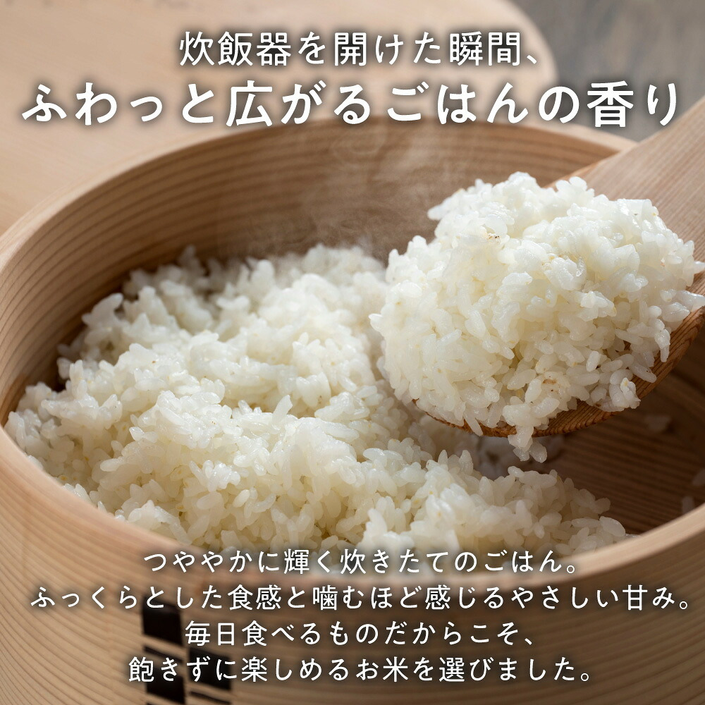 令和8年産 新米 愛媛県産 コシヒカリ【内容量が選べる5kg～30kg】雑穀米本舗 愛媛県 選べる 白米 単一原料米 送料無料 精米工場からの直送品