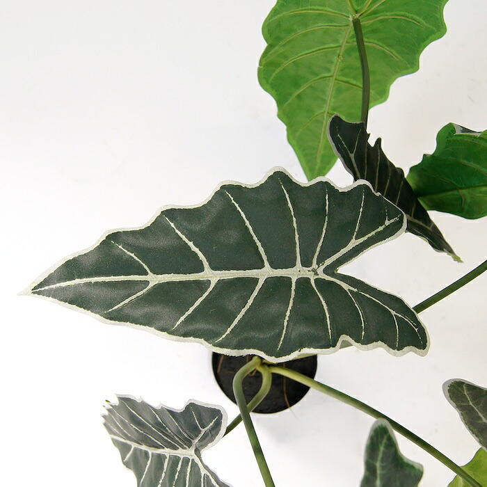 観葉植物 造花 アロカシア BROWN 全高約61cm 卓上・小型 フェイクグリーン 本物そっくり おしゃれ インテリア 人工観葉植物 アーティフィシャルグリーン オフィス 店舗 ホテル 開店祝い 室内 ミニ クワズイモ フェイク