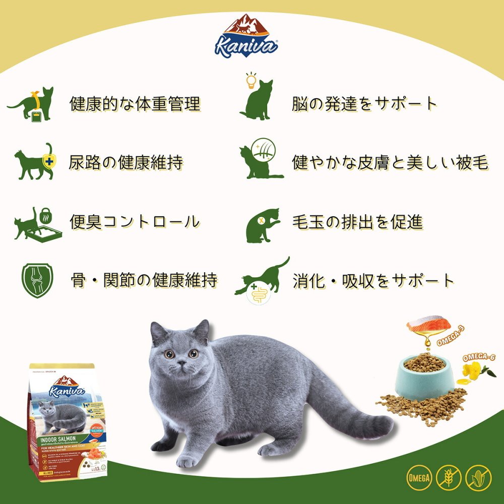 Kaniva カニワ 室内猫サーモンフォーミュラ キャットフード 1.3kg×6個