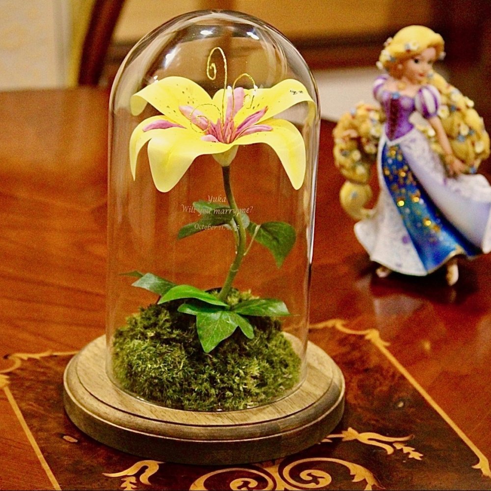ラプンツェルの魔法の花☆HappyWishLily