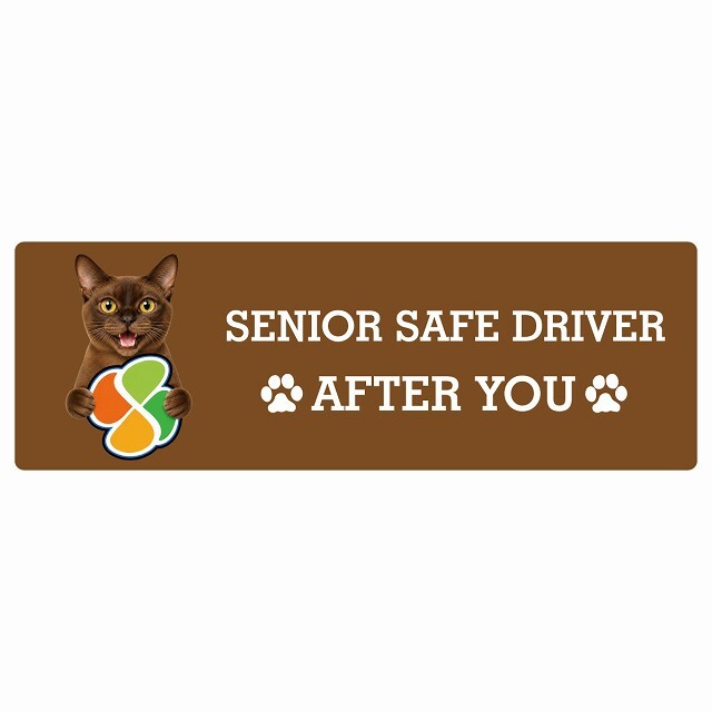 カーサイン 高齢者マーク SENIOR SAFE DRIVER バーミーズ ステッカー シール 長方形 15x5cm 肉球 日本製 車