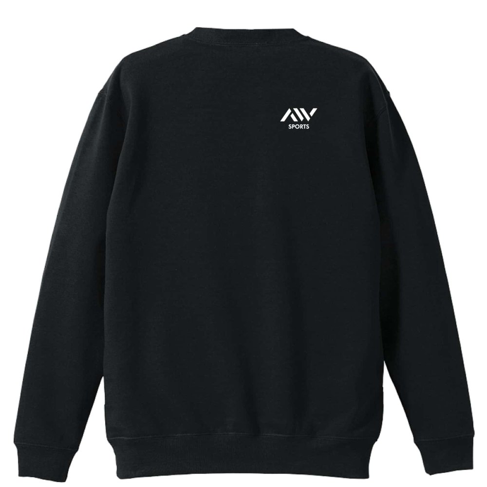 水泳 競泳 トレーナー スウェット メンズ レディース ジュニア 裏パイル 練習着 おもしろ 名入れ おしゃれ 文字入れ無料 綿100% キッズ 大きいサイズ 「水泳エボリューション」 アートワークスコウベ 【送料無料】