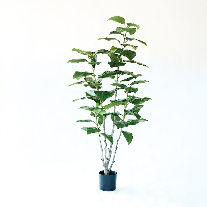 観葉植物 造花 フィカス エラスティカ BROWN 全高約195cm 大型 株立ち フェイクグリーン 高級 本物そっくり リアル おしゃれ インテリア 人工観葉植物 アーティフィシャルグリーン オフィス 店舗 ホテル 開店祝い 室内 リビング 玄関 風水 ゴムの木 インドゴムノキ