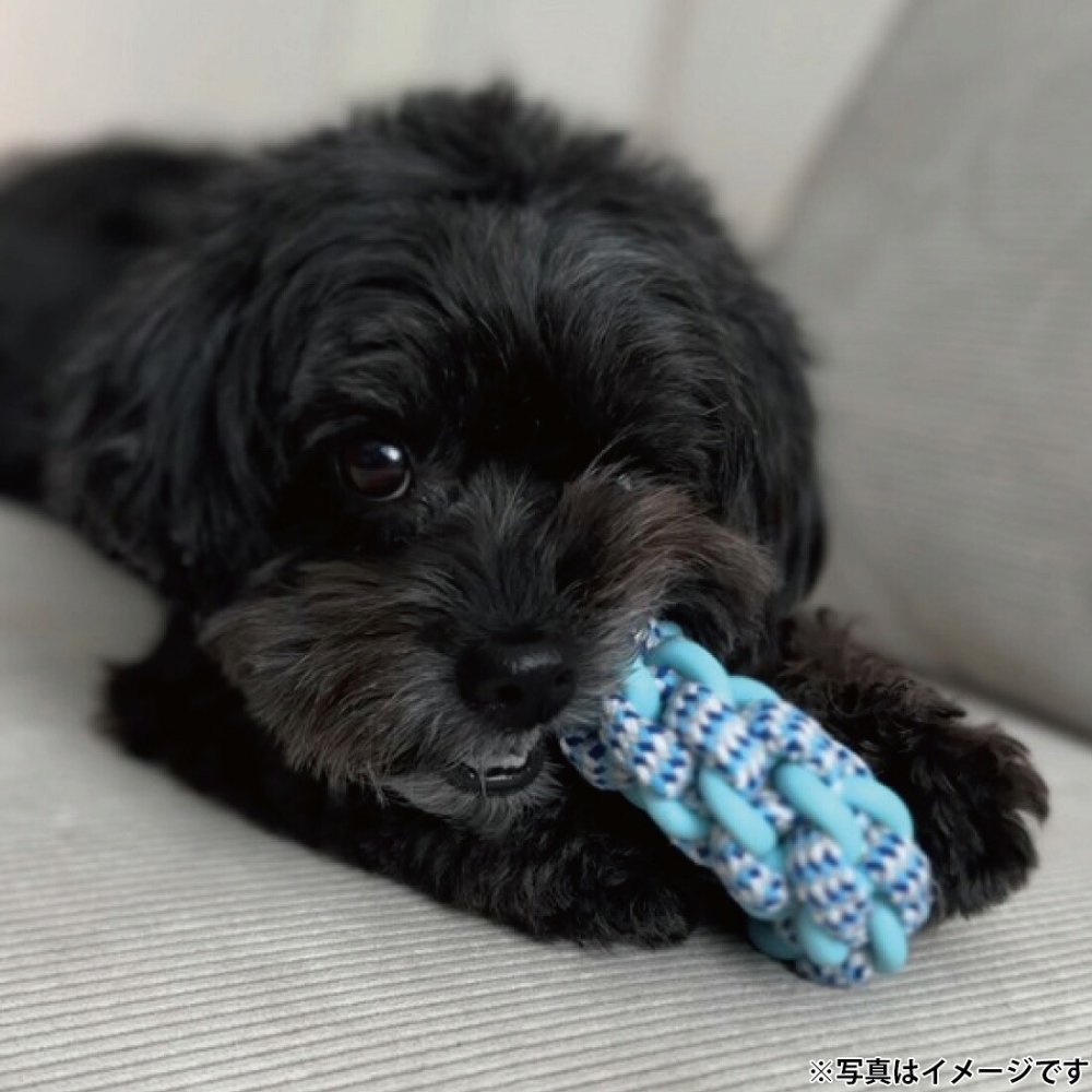 プラッツ PLATZ パピーズチョイス ツインロープ リング 犬用おもちゃ ピンク