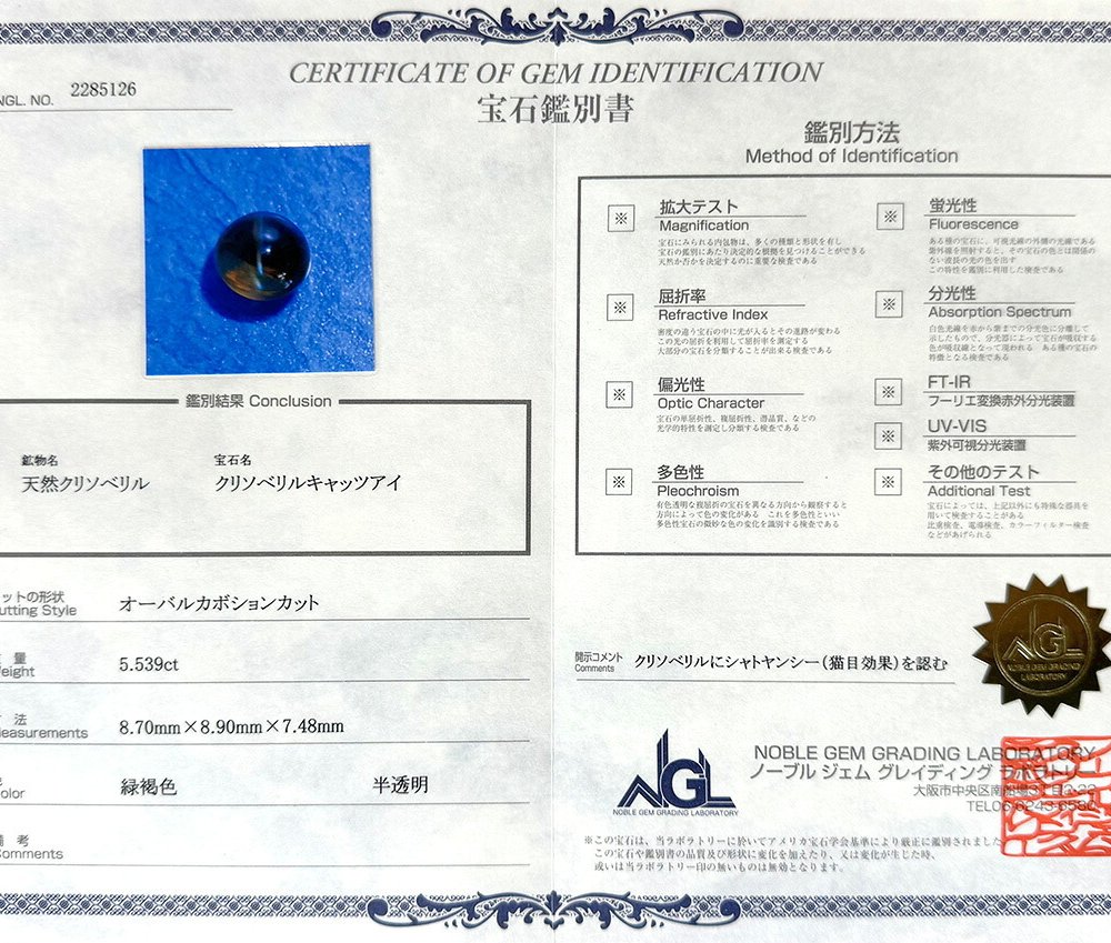 クリソベリルキャッツアイ 5.539ct ルース 宝石 裸石 クリソベリル ブラウン イエロー キャッツ ネコ ジュエリー オリジナル 制作 コレクション 誕生石 10月 記念 お守り 誕生日