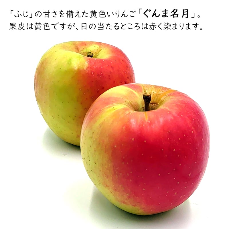 長野県産りんご ぐんま名月 秀品 ご贈答 果物 フルーツ お取り寄せ 産地直送 【送料無料(一部地域除く)】