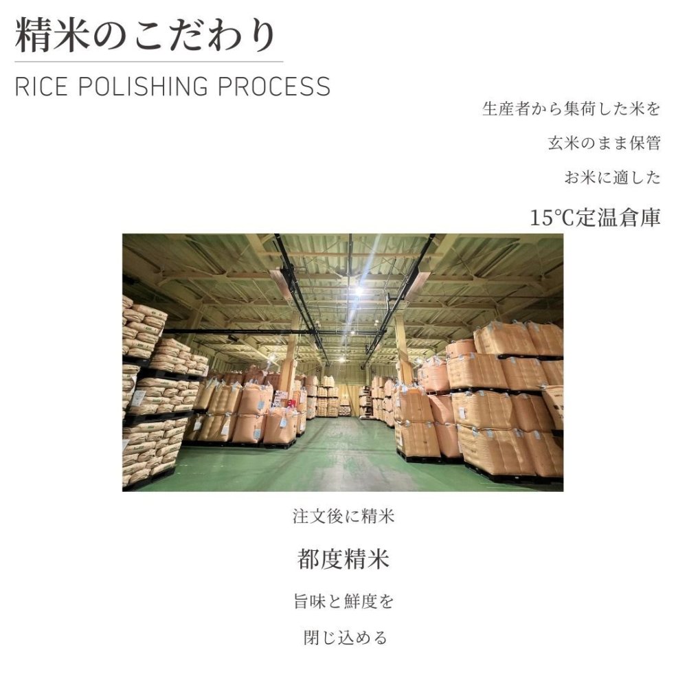 新米　令和8年産　新潟県産なつひめ　5kg