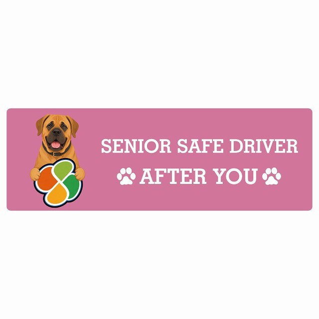 カーサイン 高齢者マーク SENIOR SAFE DRIVER 土佐犬 ステッカー シール 長方形 15x5cm 肉球 日本製 車