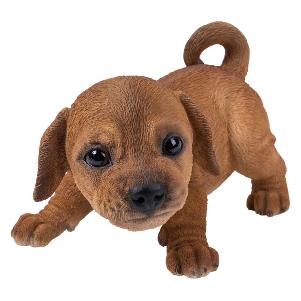 置物 woobia ウービア ミニチュアダックス かまえるダックスフンドの子犬 レッド 幅20.5cm ダックスフント 子犬 リアル 本物そっくり イギリス生まれ 職人手彩色 縁起物 戌年 玄関 インテリア 新築祝い 引っ越し祝い 開店祝い 出産祝い 誕生日 お祝い ギフト プレゼント 犬好き