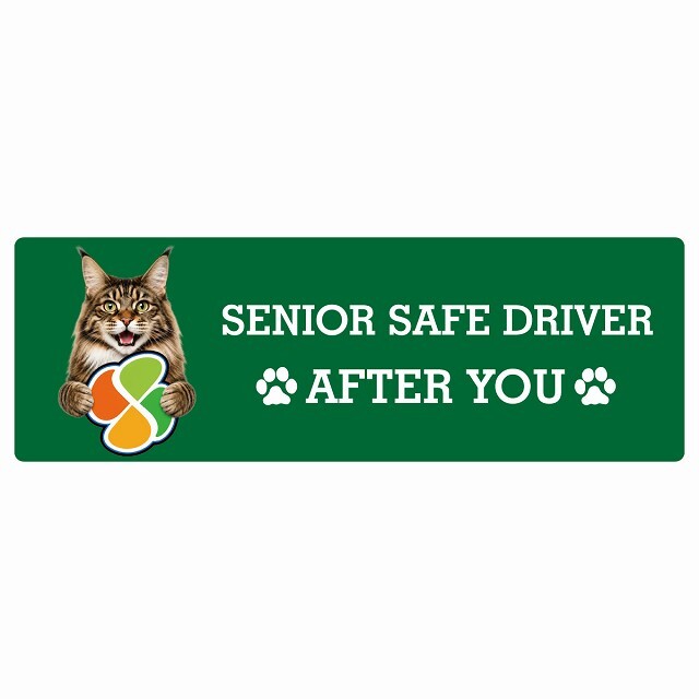 カーサイン 高齢者マーク SENIOR SAFE DRIVER メインクーン ステッカー シール 長方形 15x5cm 肉球 日本製 車