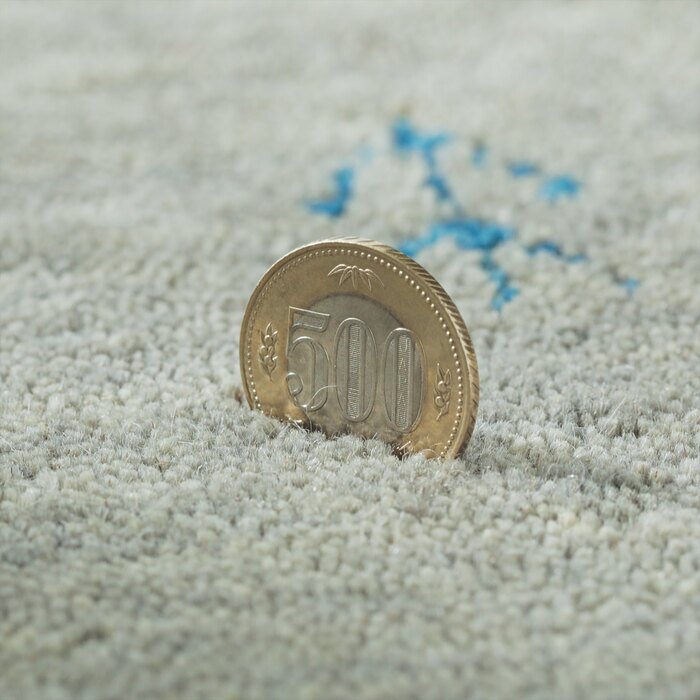 ラグ カーペット マット 玄関 玄関マット おしゃれ 40x60cm シンプルギャッベマット HOT対応 アヤカ 北欧 モダン シンプル デザイン かわいい かっこいい ギャッベ インド製 ホット 床暖 OK 送料無料 手織り 肌触り