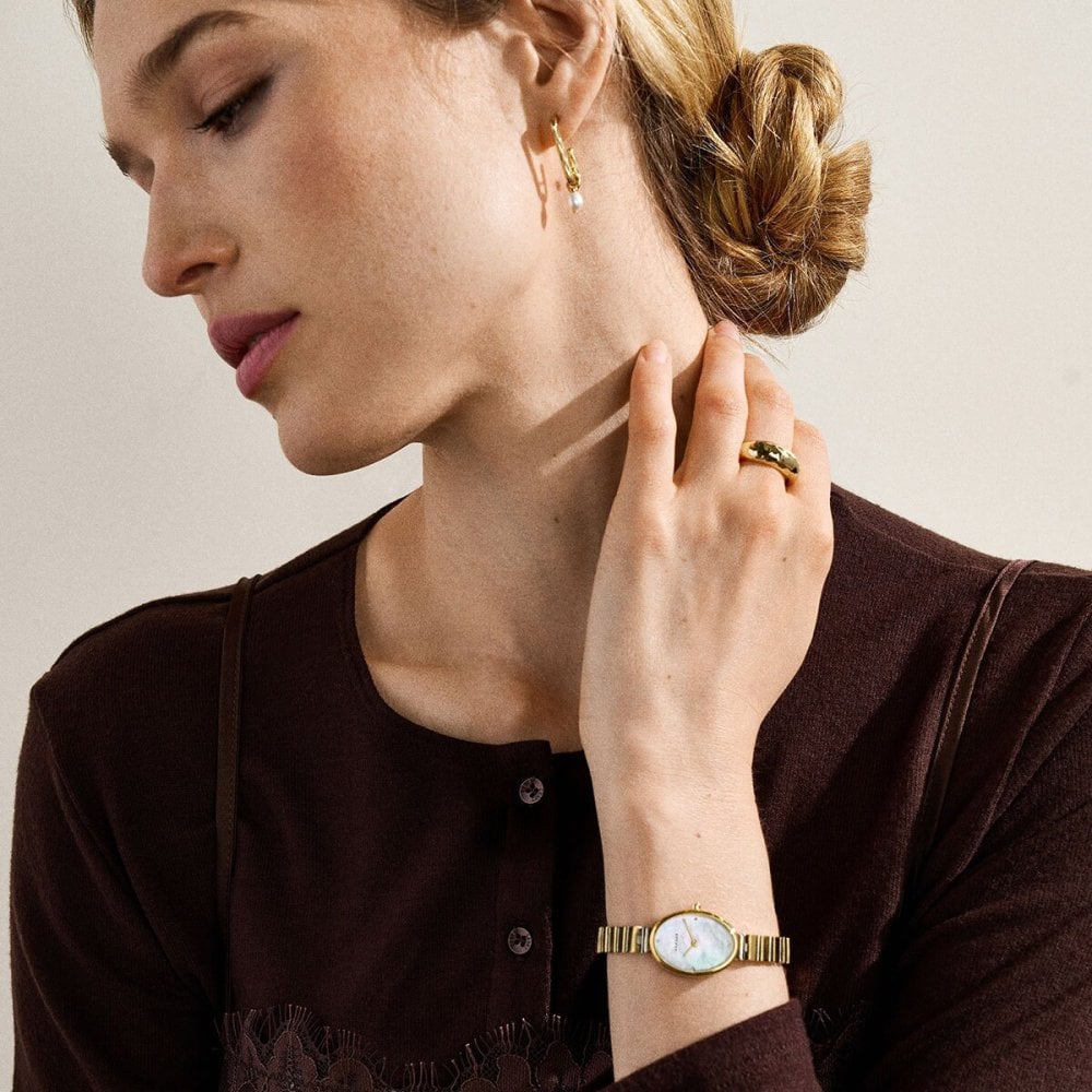 スカーゲン SKAGEN 腕時計 レディース 二針 ANITA OVAL ツートーン  SKW3183【2026 新作】