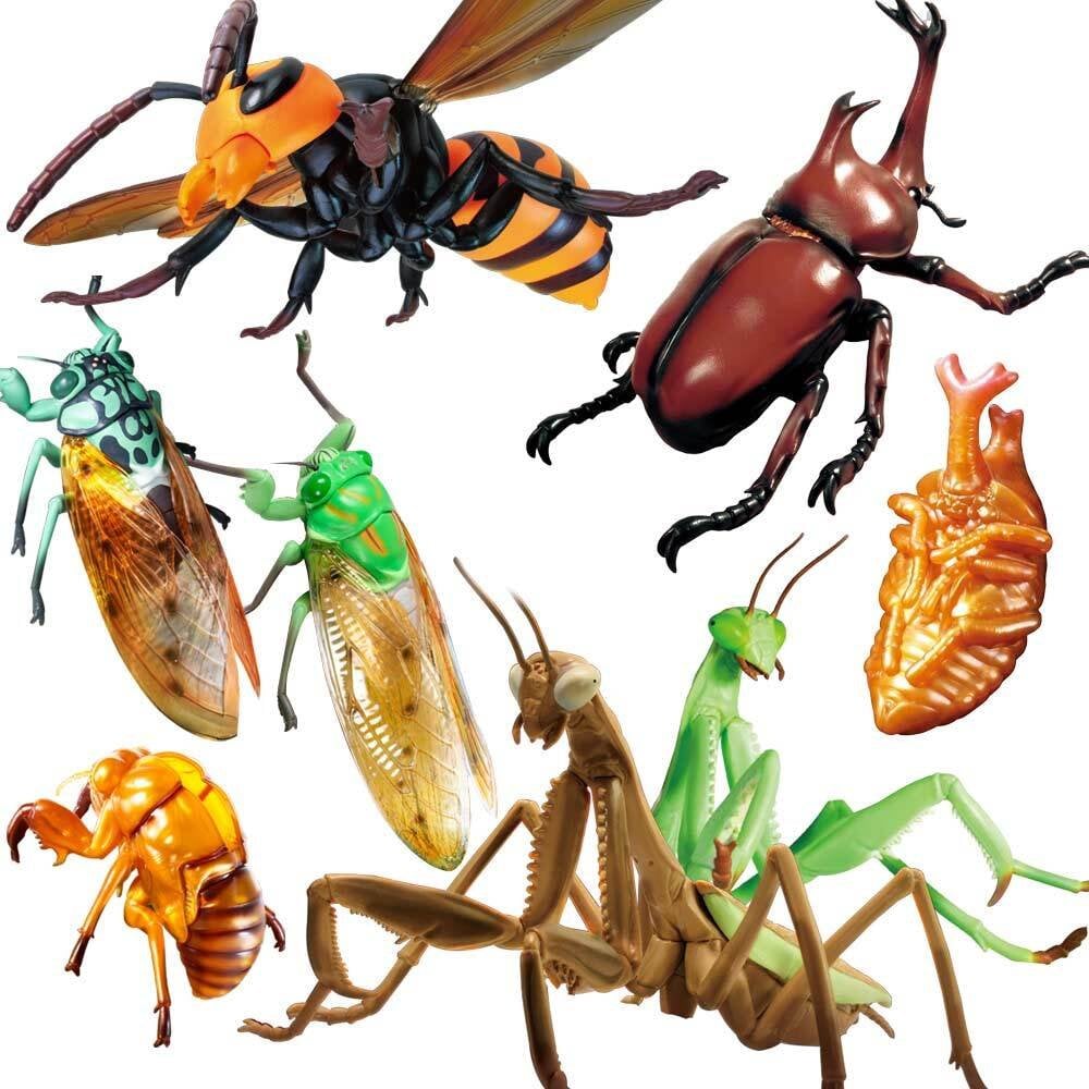 フィギュア リアル 人形大きい 虫 昆虫 [ リアルBIGサイズフィギュアシリーズ スズメバチ / カマキリ / ミンミンゼミ / 抜け殻 / カブトムシ] インパクト キッズ 小学生 男の子 おもちゃ プレゼント