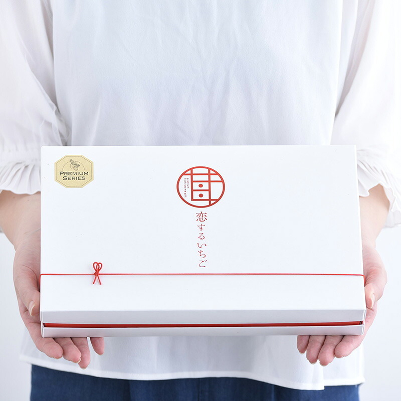 苺が主役 恋するいちご プレミアム 25個入り NR-03709