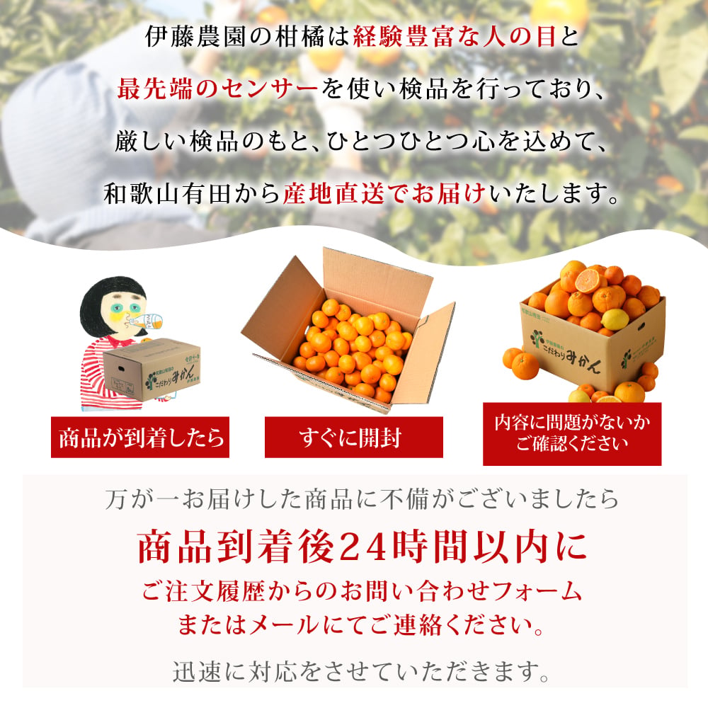みかん 5kg 贈答用 秀品 特選 送料無料 和歌山 M L 伊藤農園 大玉 中玉 手詰め 有田みかん 温州みかん 約30個～40個 果物 出産内祝い 贈答 ギフト 誕生日 結婚祝い 出産祝い 内祝い ギフト