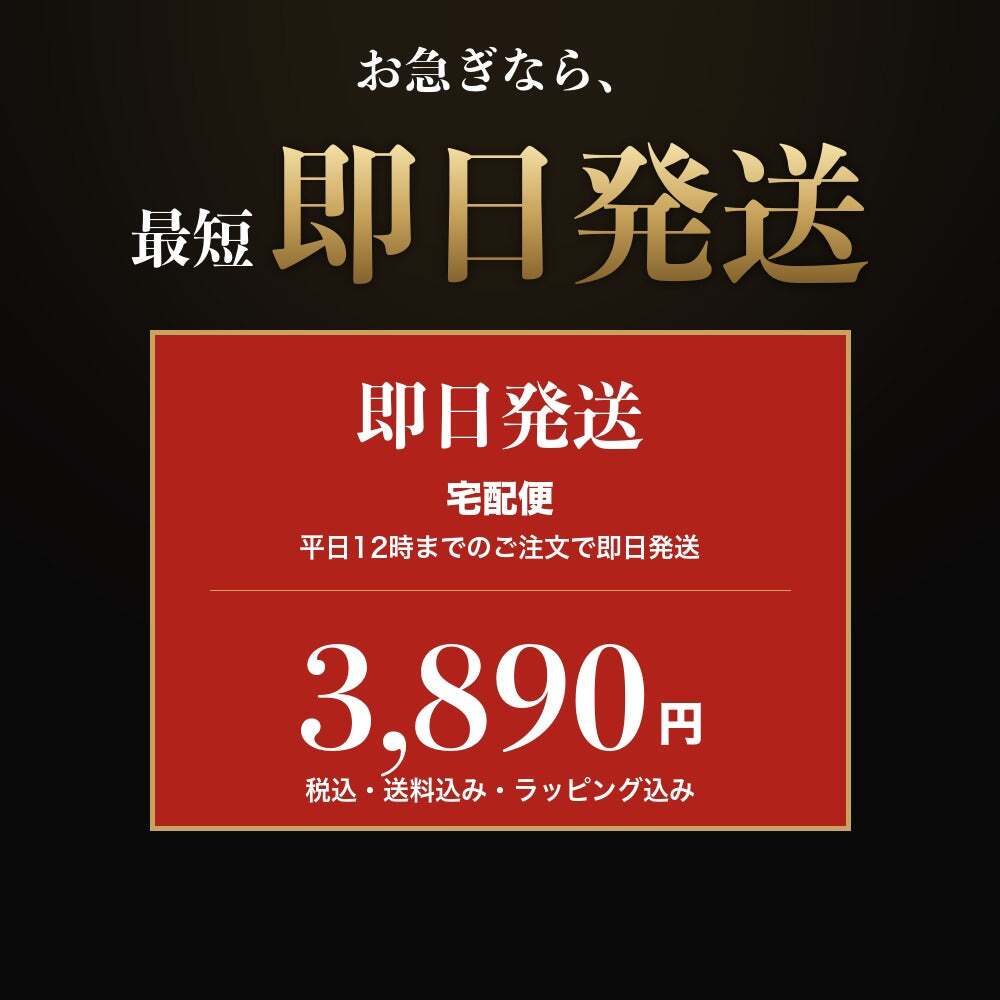 法人印鑑 2本セット 上柘 代表印 角印 専用ケース付 DQ 会社印 実印 印鑑 はんこ 会社設立 即日発送 ラッピング付き 永年保証 ギフト 開業祝い