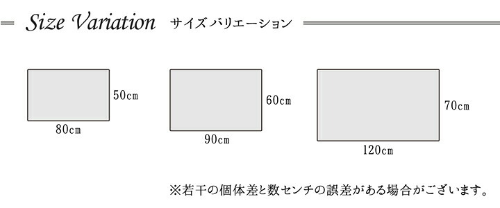 ラグ カーペット 玄関マット トルコ製 ウィルトン織り 約50×80cm 抗菌防臭 消臭機能 へたりにくい