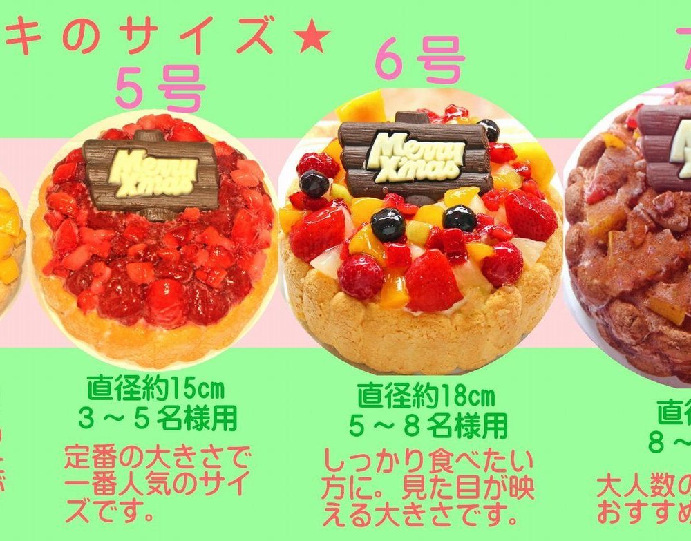 クリスマス生乳チョコアイスケーキ【4～7号】 ［クリスマスケーキ クリスマスデコレーション クリスマスアイスケーキ］