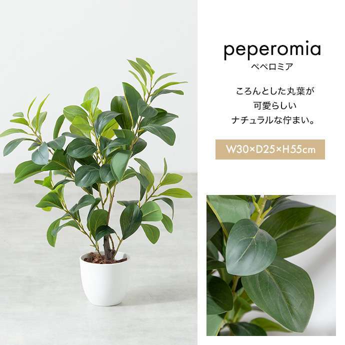 【高さ55cm】光触媒人工観葉植物 パキラ 幅35cm×奥行35cm×高さ55cm コンパクト 天然木 お部屋に気軽に飾れて空間を美しく彩るフェイクグリーン 本物の植物のようなリアルな質感とインテリアに馴染む風合いが魅力です