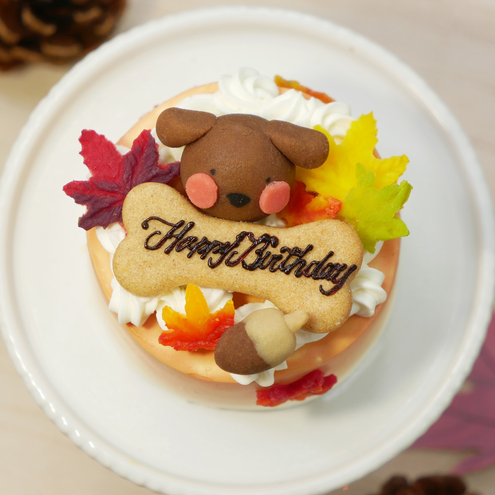犬用ケーキ 誕生日 ちぃさい秋みぃ～つけた紅葉いちごショートケーキ プチサイズ 無添加 食いつき 人気 おすすめ 手づくりごはん 小型犬 犬 小さいサイズ バースデー ケーキ フードケーキ ごはん プレゼント ギフト 贈り物 お誕生日 お迎え記念日 快気祝い ご贈答用 結婚祝い パーティー お茶会 犬友 猫友 お祝い お誕生日 ワンちゃん ペットフード ドッグフード