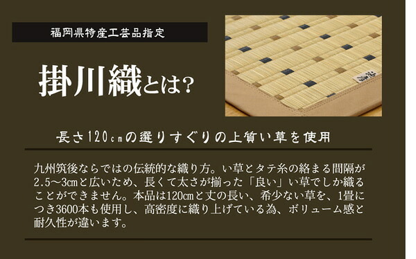 夏ラグ 夏用カーペット 純国産 掛川織 い草カーペット 『スウィート』 江戸間8畳(約348×352cm) 新生活
