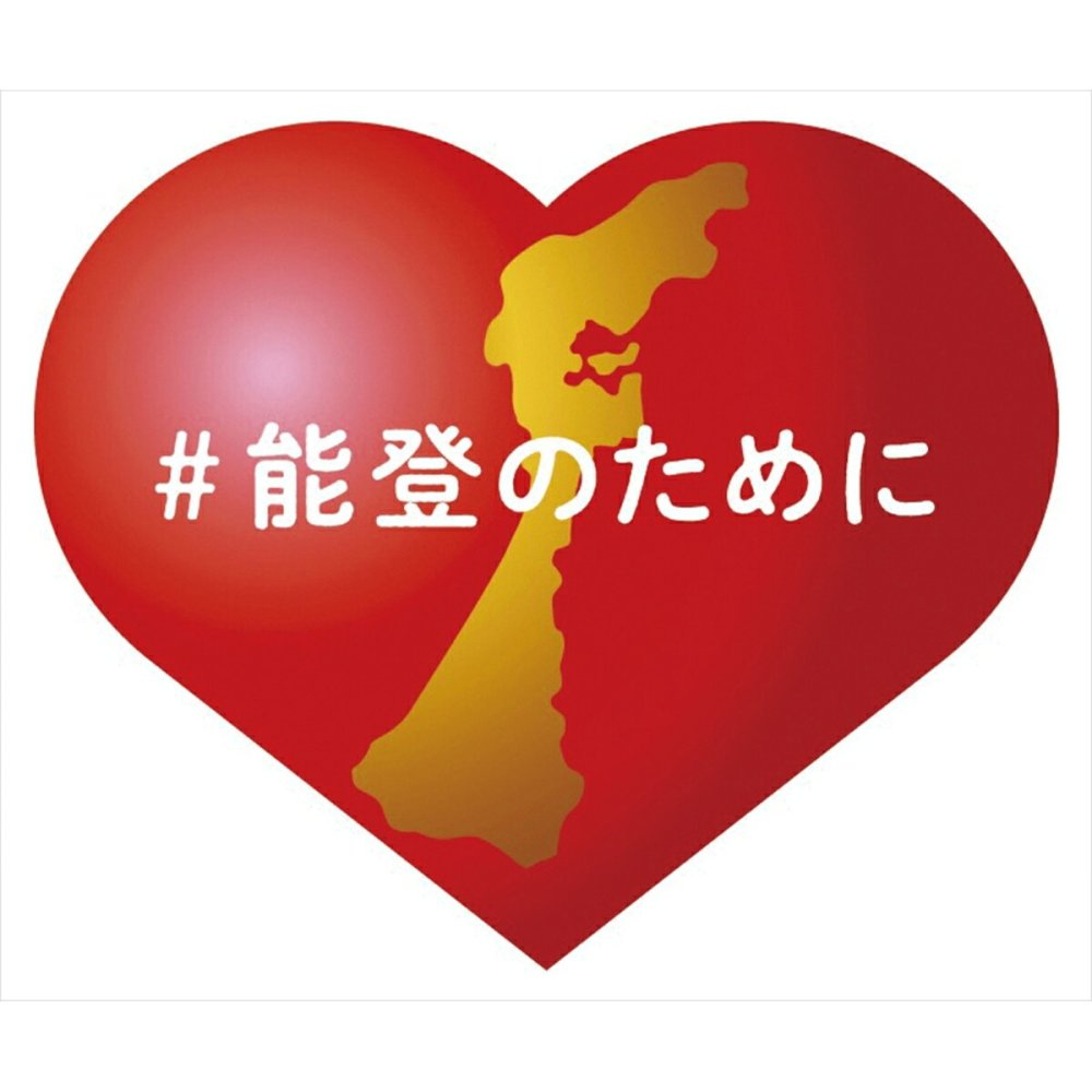 チャリティー防災20点セット 能登のために 非常持出しリュック 復興支援 防災セット サニタリー対策【北海道・沖縄県・離島 配送不可】