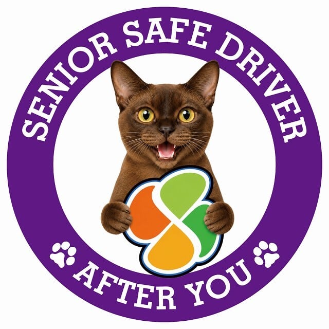 カーサイン 高齢者マーク SENIOR SAFE DRIVER バーミーズ ステッカー シール 直径13cm 肉球 日本製 車