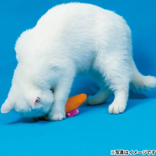 ジョイサー JOYSER キティーズエコベジー キャロット 猫用おもちゃ
