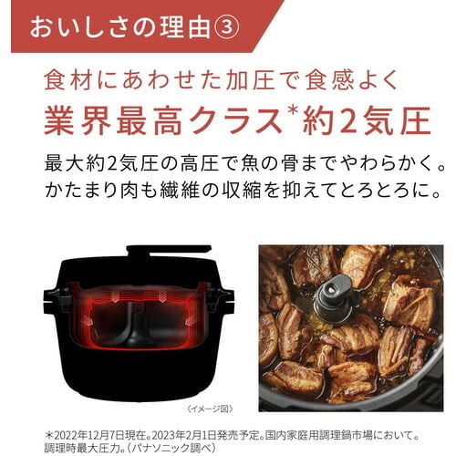 パナソニック NF-AC1000-K 自動調理鍋 オートクッカー ビストロ ブラック
