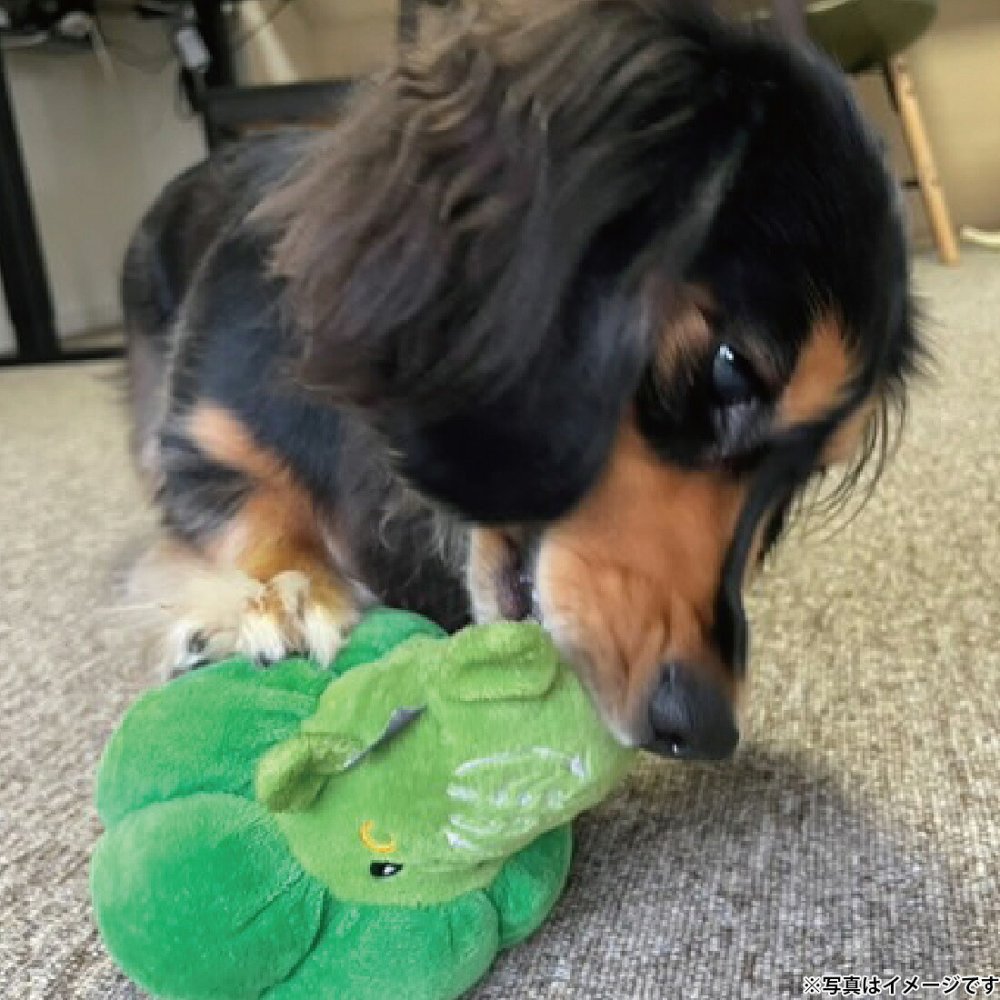 ジョイサー JOYSER エコベジー ブロッコリー 犬用おもちゃ