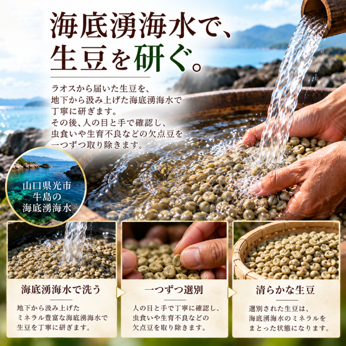 塩焙煎珈琲 コーヒー豆 100g 150g ドリップコーヒー 山口県 光市 室積 力塩 珈琲 塩コーヒー ラオス産 コーヒー お取り寄せ ギフト プレゼント 贈り物 自宅用
