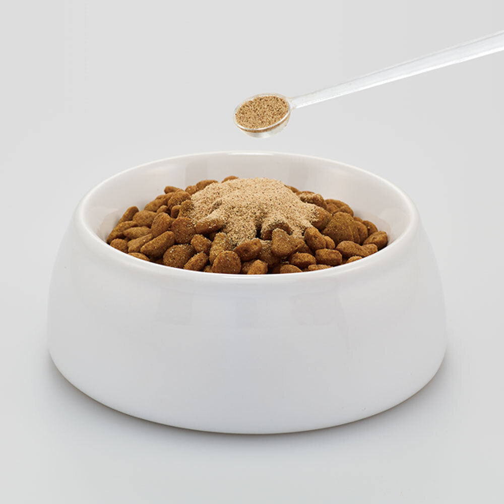 DHC 猫用 国産 かるがるキャット 50g 無添加 DHCのペット用健康食品 グルコサミン コンドロイチン ヒアルロン酸 エラスチン配合