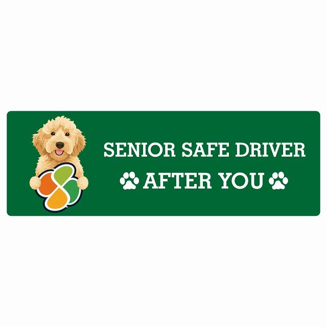 カーサイン 高齢者マーク SENIOR SAFE DRIVER オーストラリアンラブラドゥードル ステッカー シール 長方形 15x5cm 肉球 日本製 車