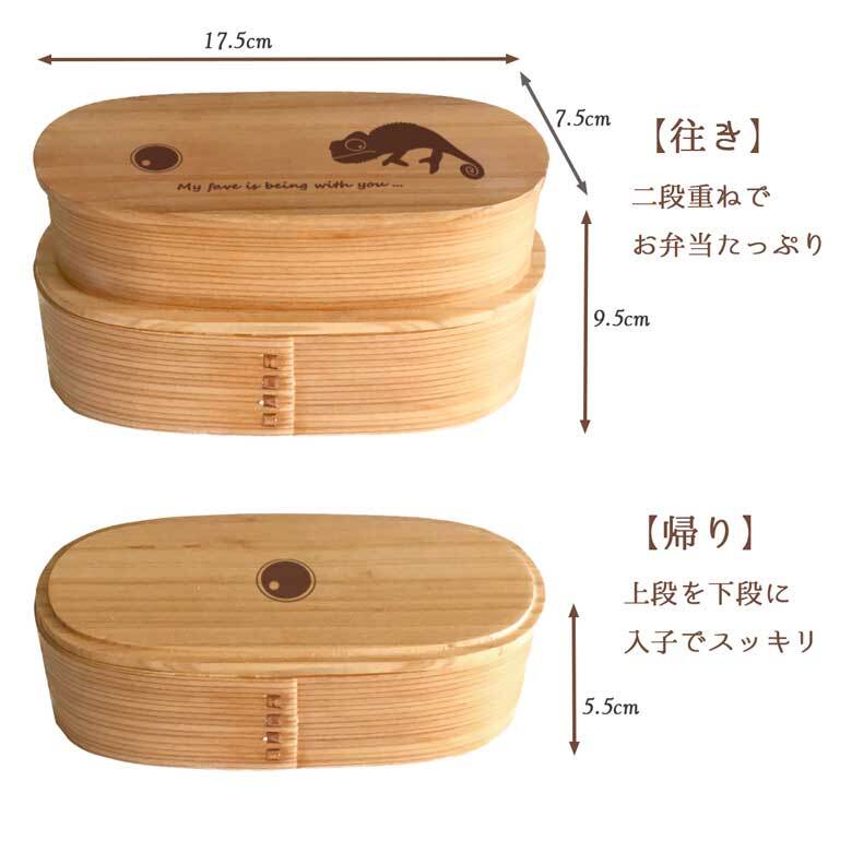 Fave カメレオン スリム入子型 曲げわっぱ 弁当箱  天然木 二段 わっぱ 木製 スリム オリジナル  爬虫類 ペット 動物 アニマル ホワイトデー