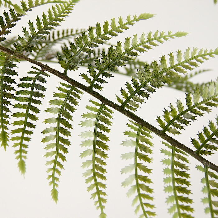 観葉植物 造花 ディクソニア BROWN 全高約183cm 大型 フェイクグリーン 高級 本物そっくり リアル おしゃれ 珍しい インテリア 人工観葉植物 アーティフィシャルグリーン オフィス 店舗 ホテル 開店祝い 室内 リビング 玄関 風水 木性シダ