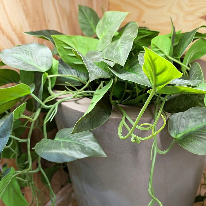 観葉植物 造花 ポトス BROWN 全高約80cm フェイクグリーン 高級 本物そっくり リアル おしゃれ 卓上 インテリア 人工観葉植物 アーティフィシャルグリーン 垂れ下がる つる オフィス 店舗 開店祝い 室内 リビング 玄関 トイレ 風水 フェイク