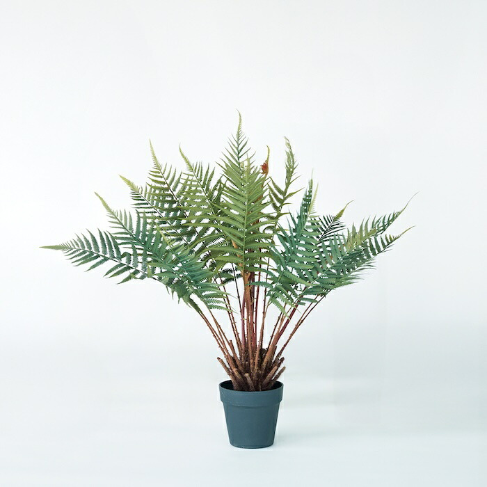 観葉植物 造花 ファーン BROWN 全高約74cm 卓上・小型 フェイクグリーン 本物そっくり おしゃれ インテリア 人工観葉植物 アーティフィシャルグリーン オフィス 店舗 ホテル 開店祝い 室内 ミニ シダ 観葉 フェイク