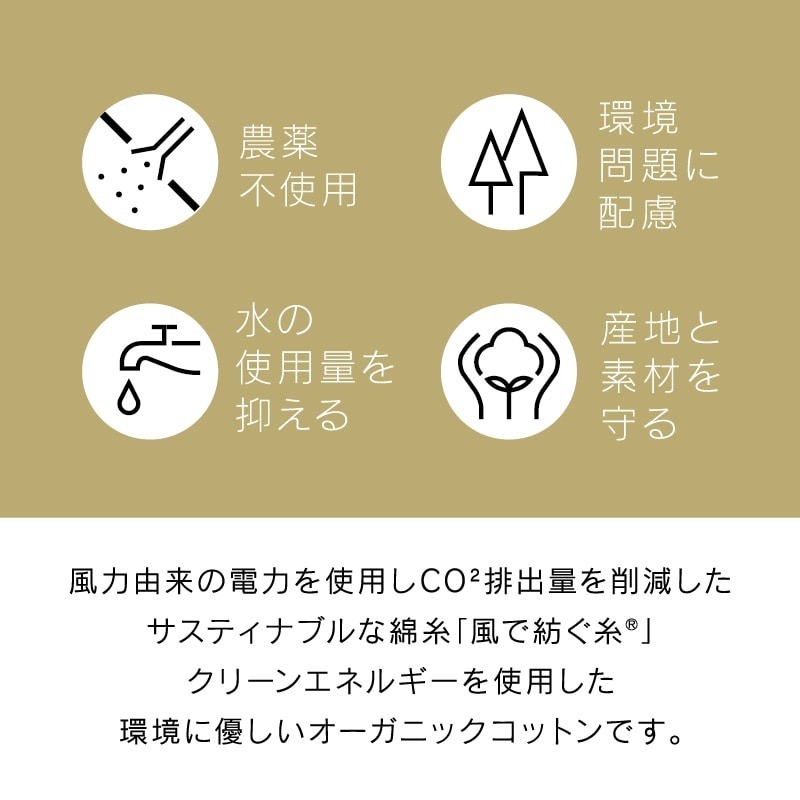 綿毛布 シングル ハーフ 日本製 西川 泉大津 毛布 ブランケット オーガニックコットン コットンケット 風で紡ぐ糸 サステナブル ピーナッツ PEANUTS スヌーピー SNOOPY 大人かわいい マイヤー キャラクター FQ05101602