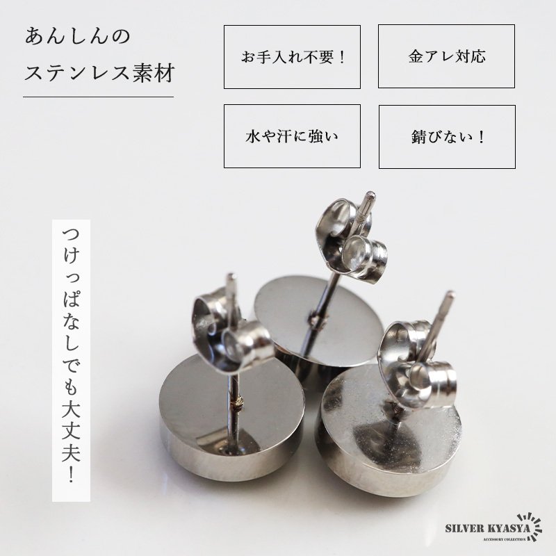 ステンレス 12星座ピアス 暗くなると光る 蓄光 ワンポイントピアス スタッドピアス 可愛い 誕生月 シルバー 片耳1点 ゾディアック 星 スター 宇宙 天体 綺麗 キラキラ メンズ レディース 金属アレルギー対応 イヤリング 男性 女性