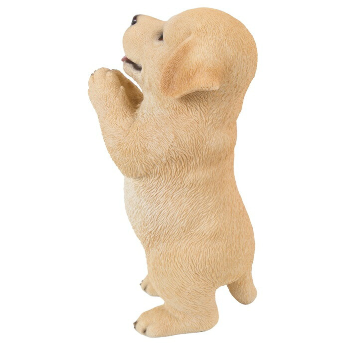 置物 犬 おねだりラブラドールレトリバー 高さ21.4cm woobia ウービア いぬ リアル かわいい おしゃれ 玄関 インテリア オブジェ ガーデン ラブラドール 動物 癒し 棚 北欧 プレゼント ギフト 新築祝い 犬好き