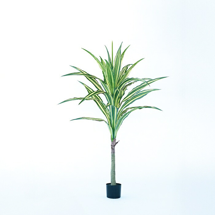 観葉植物 造花 ドラセナ ワーネッキー BROWN 全高約150cm 大型 フェイクグリーン 本物そっくり おしゃれ インテリア 人工観葉植物 アーティフィシャルグリーン オフィス 店舗 ホテル 開店祝い 室内 幸福の木 フェイク