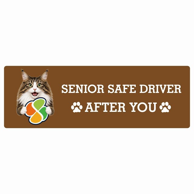 カーサイン 高齢者マーク SENIOR SAFE DRIVER ノルウェージャンフォレストキャット ステッカー シール 長方形 20x6.7cm 肉球 日本製 車