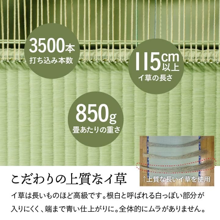 夏ラグ 夏用カーペット 純国産 い草 上敷き 上質ない草で作った カーペット 双目織 江戸間4.5畳(約261×261cm）